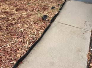 Cleanups by Sergio Acosta for Isha P. in Los Angeles, CA