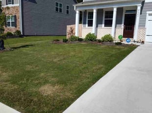 Denise S.'s Lawn Care service result