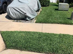 Michael D.'s Lawn Service service result