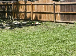 Nancy C.'s Flower Bed Weeding service result