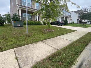 Sharon C.'s Lawn Mowing service result