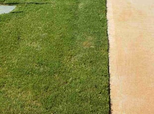 Heather G.'s Lawn Mowing service result