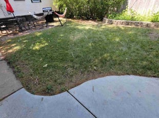 Bush Trimming by Angel Aguilar Lopez for Boris M. in Minneapolis, MN