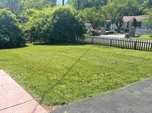 Justin S.'s Lawn Mowing Service service result