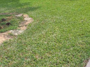 Suzanne G.'s Lawn Maintenance service result
