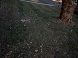 Cleanups by Santos Blanco for Cory R. in Burnsville, MN