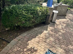Bush Trimming by Chris Enriquez for Karolina K. in Lemont, IL