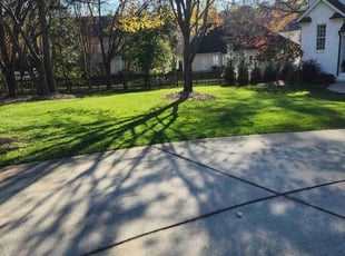 Tony M.'s Lawn Maintenance service result