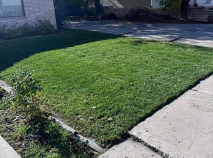 Linda R.'s Lawn Service service result
