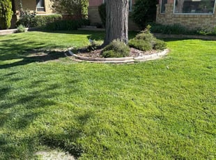Leslie L.'s Lawn Care service result
