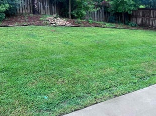 Kiki O.'s Lawn Maintenance service result