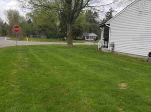 Jason S.'s Grass Cutting service result