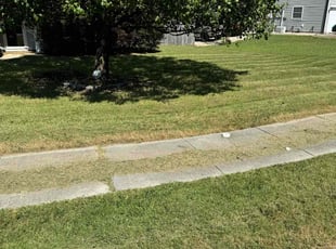 Andrea R.'s Lawn Mowing service result