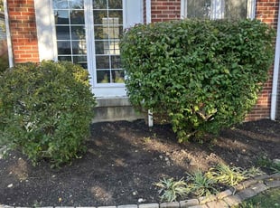 Bush Trimming by Leroy Green II for Patrice R. in Columbus, OH
