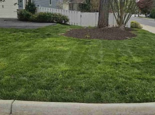 Jessica W.'s Lawn Service service result