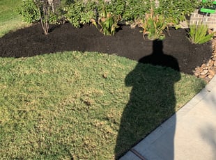 Weeding by Derrick Koontz for Maya W. in Manvel, TX