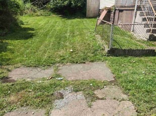 Julio C.'s Lawn Mowing service result