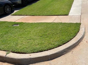Christopher G.'s Lawn Mowing service result