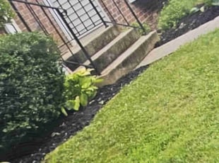 Raisa Y.'s Flower Bed Weeding service result