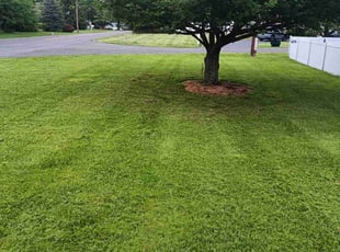 Joseph S.'s Lawn Service service result