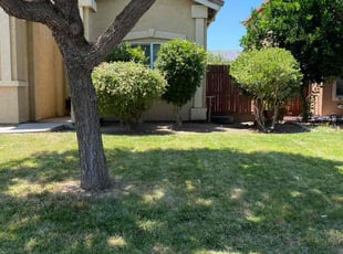 Steven S.'s Bush Trimming service result