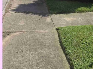 Alison C.'s Lawn Mowing Service service result