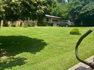 Shane Z.'s Lawn Care service result