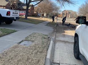 Leaf Removal by Alexander Flores for J b. in Frisco, TX
