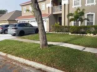 Krish S.'s Lawn Mowing service result