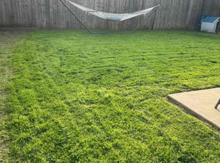 Phil R.'s Yard Cutting service result