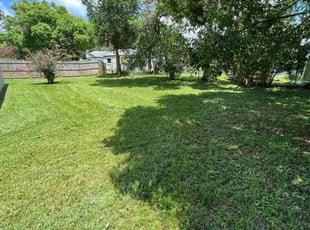 Merna T.'s Lawn Mowing Service service result
