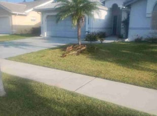 Weeding by Frank Furia for Mark P. in Boynton Beach, FL