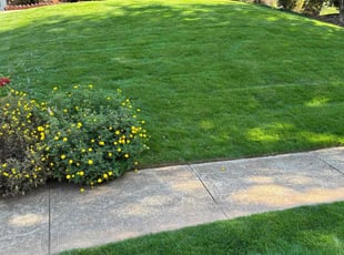 Ian C.'s Lawn Care service result