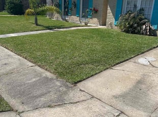 Rashidah F.'s Lawn Service service result
