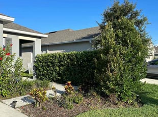 Bush Trimming by Vishall Harricharan for Austin P. in DeLand, FL