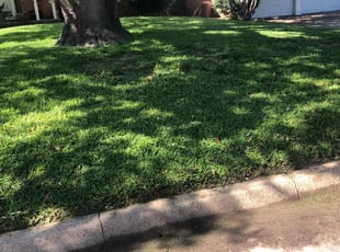 Sopenia G.'s Yard Cutting service result
