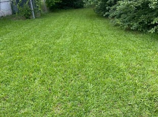 Cynthia P.'s Lawn Care service result
