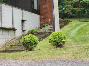 Juanita D.'s Lawn Care service result