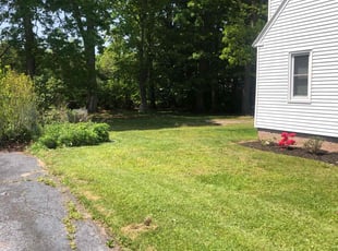 Bryan C.'s Lawn Maintenance service result