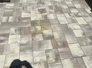 Mike A.'s Lawn Care service result
