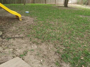 Andre B.'s Leaf Removal service result