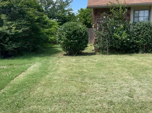 Bush Trimming by Brandon Crutchfield for William H. in Broken Arrow, OK