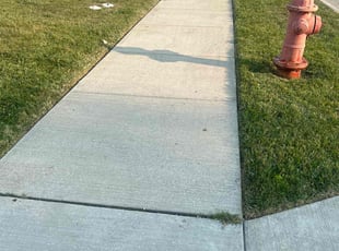 Charlene W.'s Yard Cutting service result