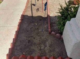 Weeding by Marvin Gray for Genevieve L. in Phoenix, AZ