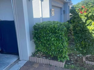 Bush Trimming by Onel Cherilus for Gerald R. in Groveland, FL