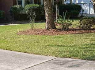 Crystal M.'s Lawn Care service result