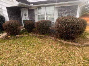 Bush Trimming by Markeiven Ogburn for Angela J. in Griffin, GA