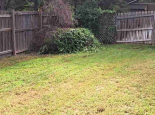 Bush Trimming by William Beacham for Maxine K. in Wichita, KS