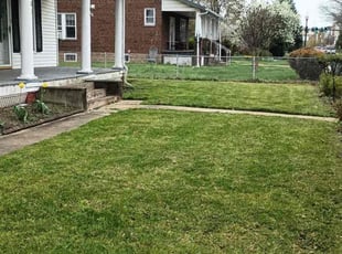 Bush Trimming by Manny Chavez for Maurice S. in Manassas, VA