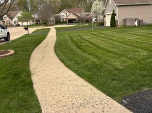 Dave W.'s Lawn Care service result